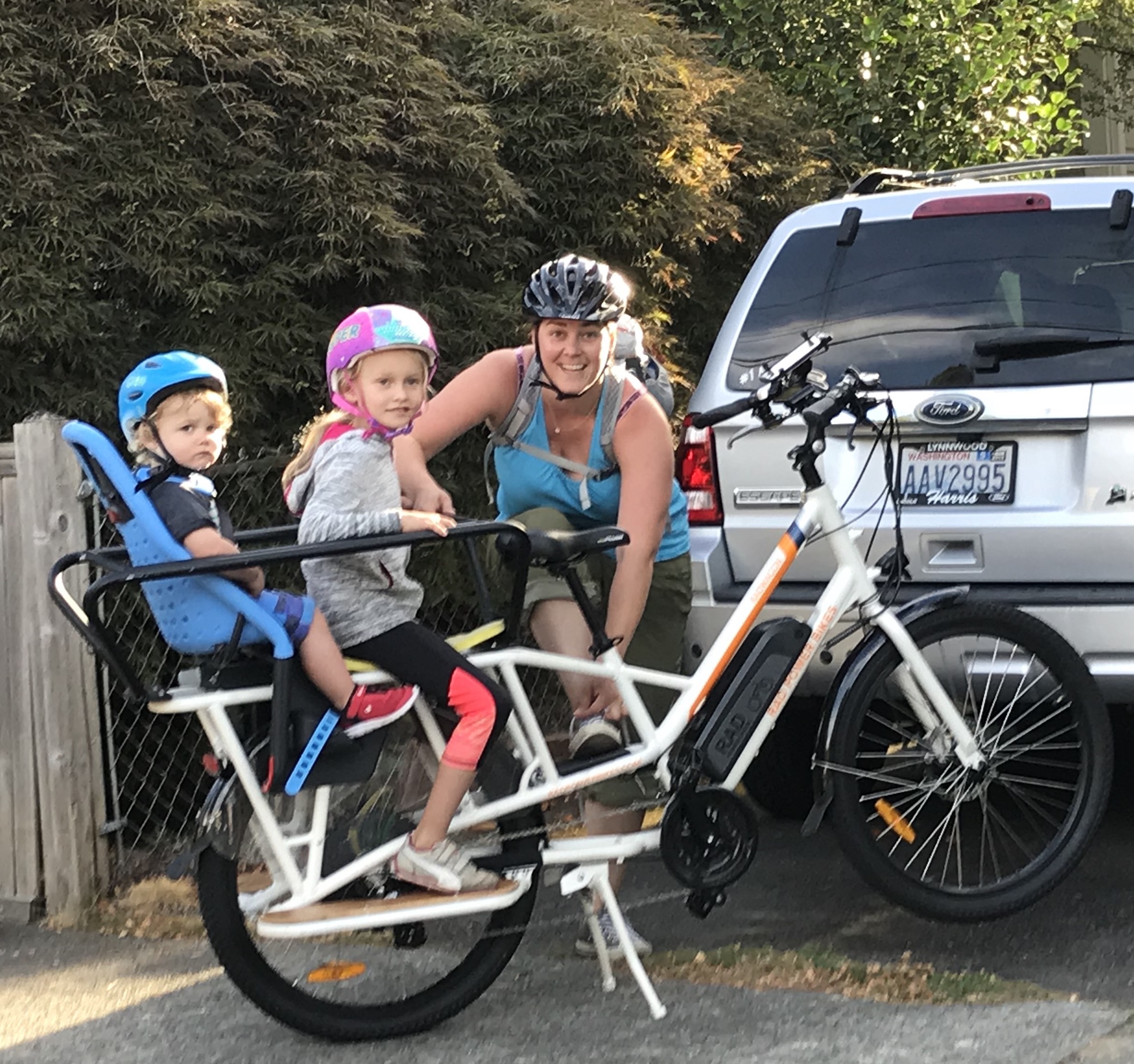 rad bike cargo