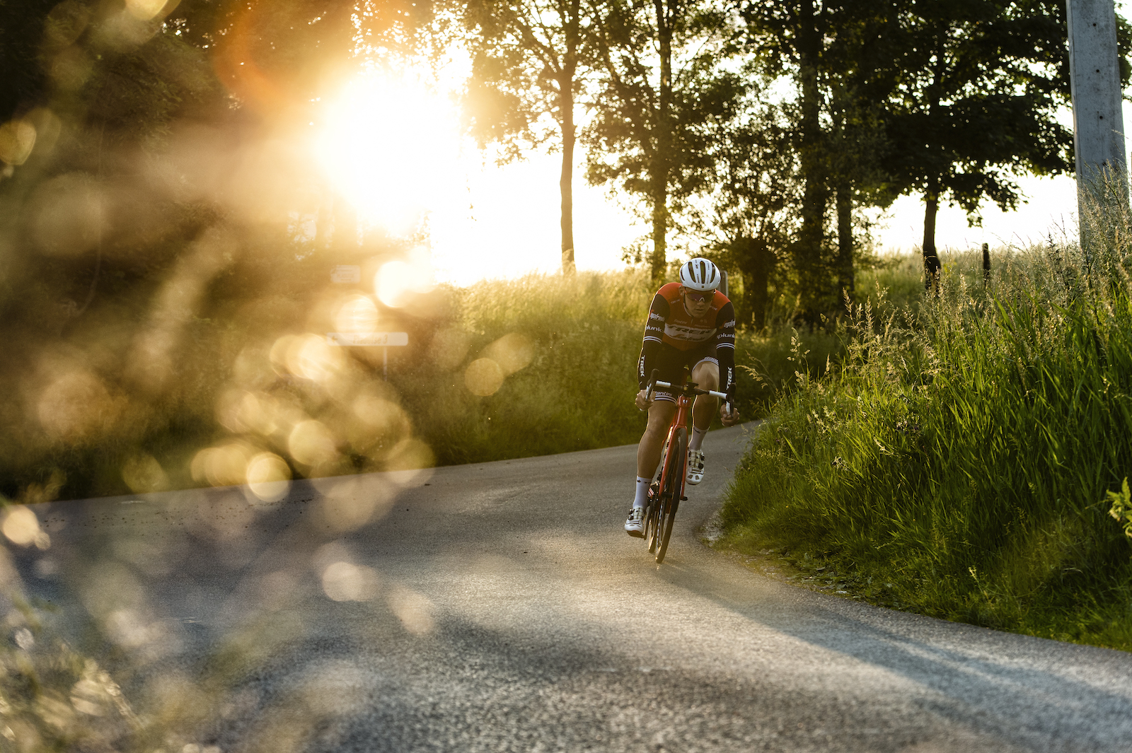 Trek Domane