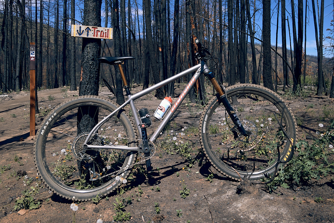 Alchemy Argos Hardtail