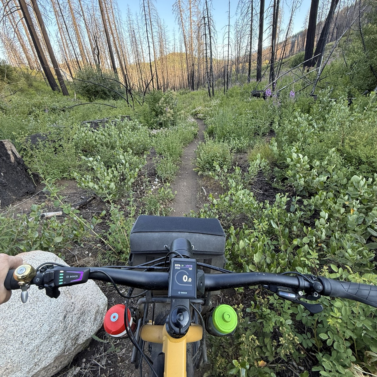 Tight single track over rugged terrain? No problem.